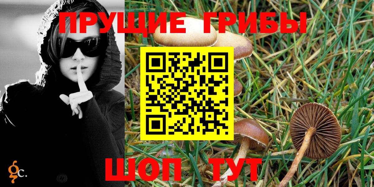 Галлюциногенные грибы Cubensis  Вход с VPN  Советский 